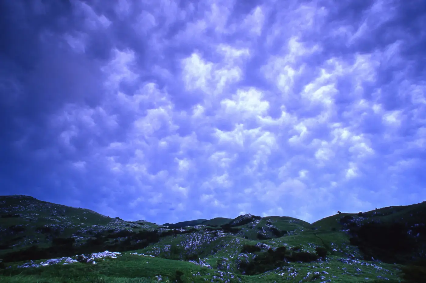 平尾台の草原の上に広がるうろこ雲