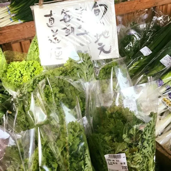 新鮮食品館ケンちゃんの村の店内。袋詰めされた新鮮な葉物野菜が並ぶ